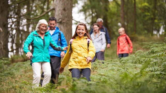 Family walking through the woods